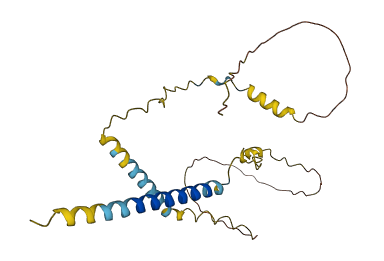 PIMREG 3D structure