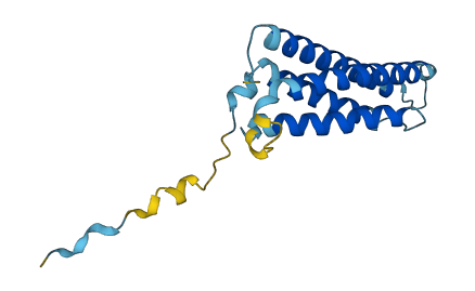 MARVELD1 3D structure