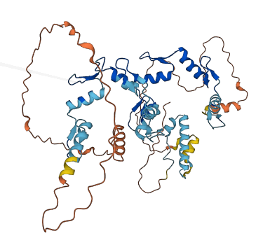 ZNF577 3D structure