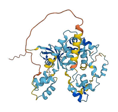 UBAC1 3D structure