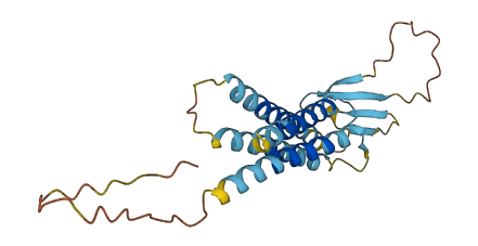 TMEM204 3D structure