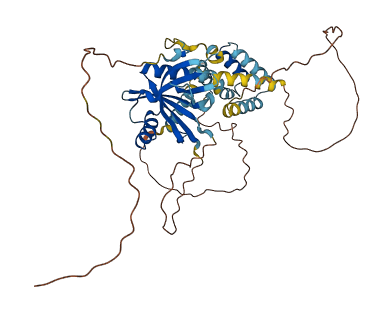 CCM2 3D structure