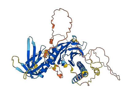 RTKN 3D structure