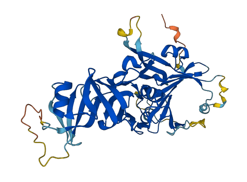 C16orf70 3D structure