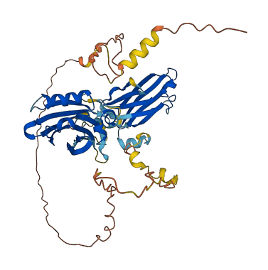 SYT17 3D structure