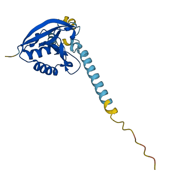 DESI2 3D structure