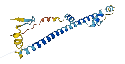 FAM167B 3D structure