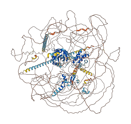 DIDO1 3D structure