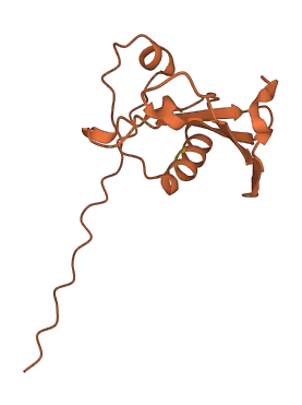 SHANK2-AS3 3D structure