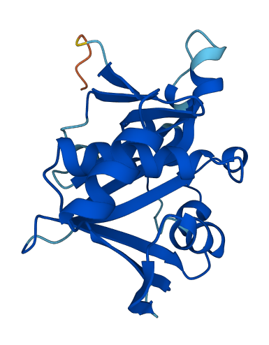 NAT9 3D structure