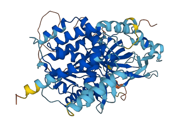 MCMBP 3D structure