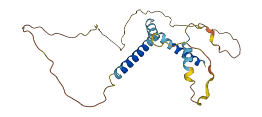 IER2 3D structure