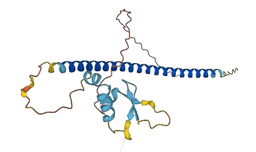 ZBED2 3D structure