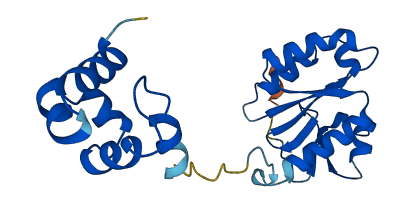 FAAP24 3D structure