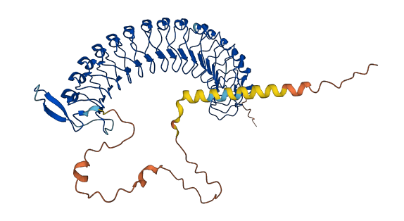 LRRC1 3D structure