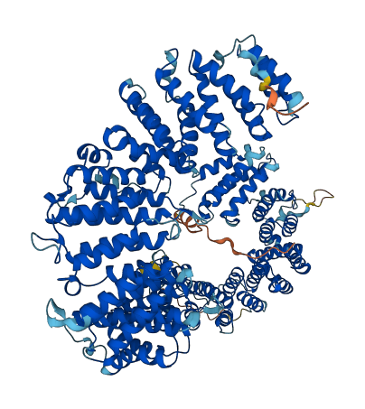 TBCD 3D structure