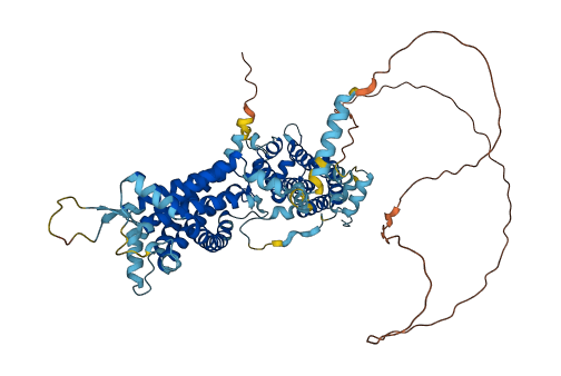 NDC1 3D structure