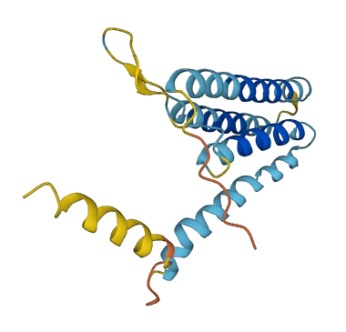 TMEM208 3D structure