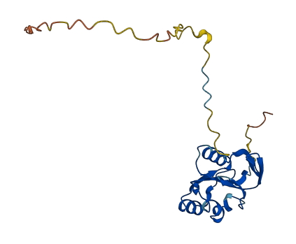 NDUFAF3 3D structure