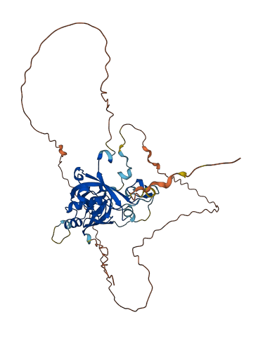 TRMO 3D structure