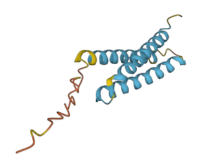TMEM243 3D structure