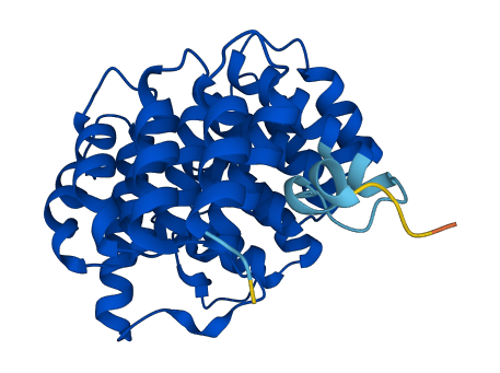 DOHH 3D structure