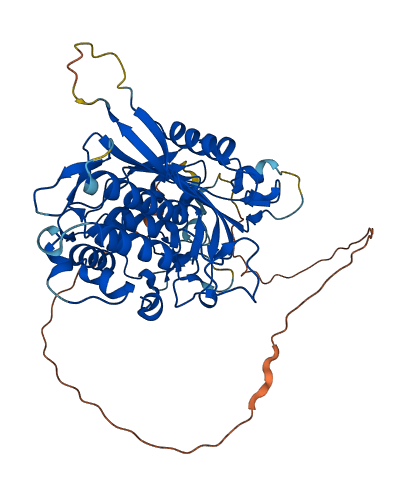 ADAT1 3D structure