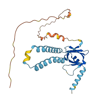 TMEM70 3D structure