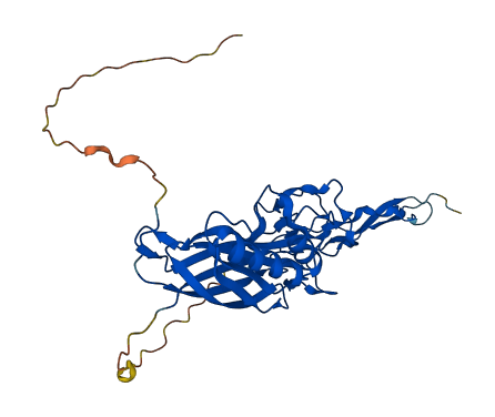 SPON2 3D structure