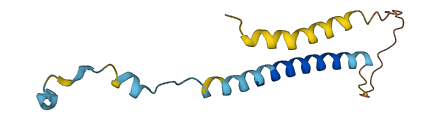 CRB3 3D structure