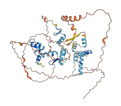 ZSCAN5A 3D structure