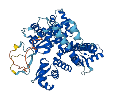 POLR3C 3D structure