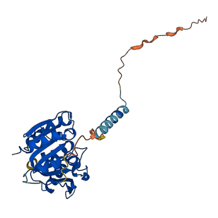 ABHD14A 3D structure