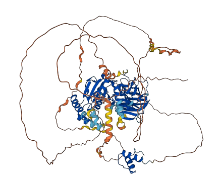 HNRNPUL1 3D structure