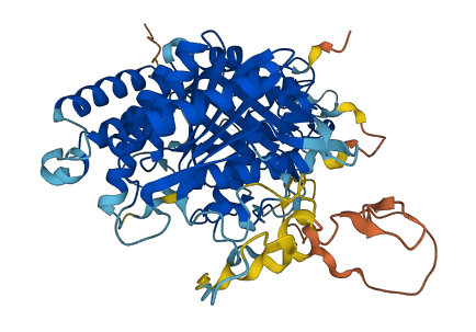 MSTO1 3D structure