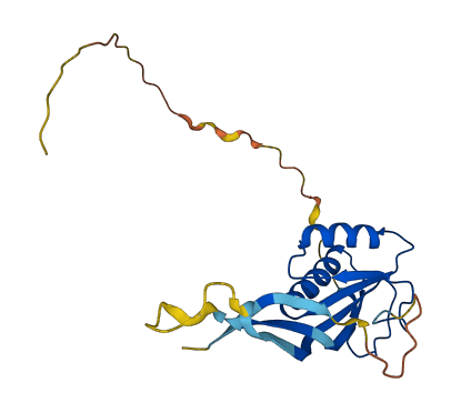 RPP25 3D structure