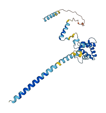 EFHD1 3D structure