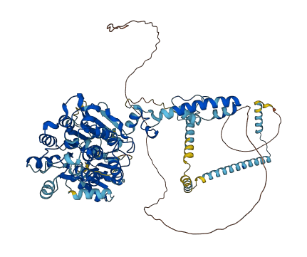 DDX23 3D structure