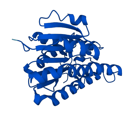 BDH2 3D structure