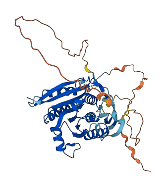 METTL22 3D structure