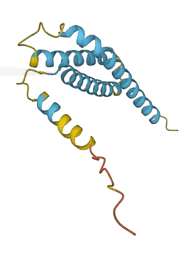 RAB5IF 3D structure