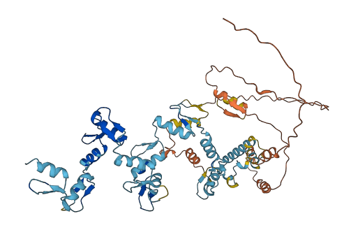 ZNF426 3D structure