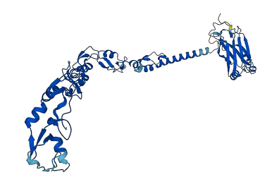 TRAF4 3D structure