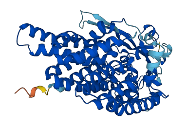 ALG12 3D structure