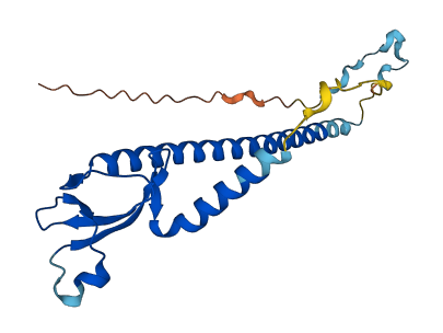 C1orf50 3D structure
