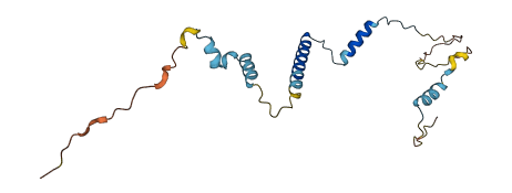 CCDC32 3D structure