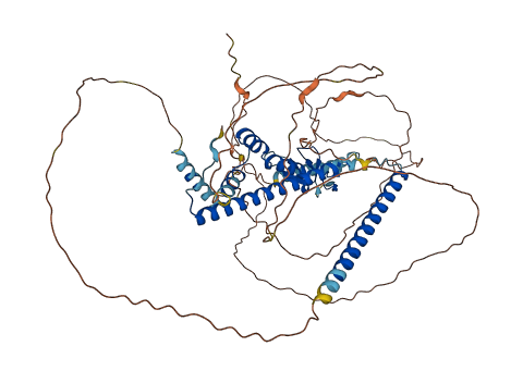 MLPH 3D structure
