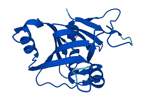 ADI1 3D structure