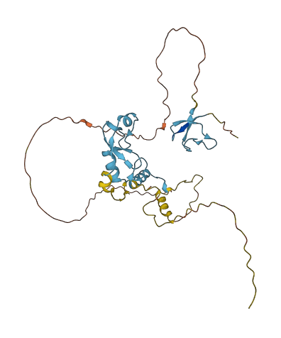 RNF126 3D structure