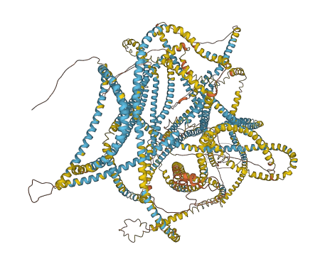 CEP250 3D structure